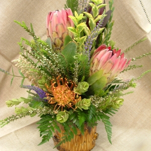 Protea arrangement