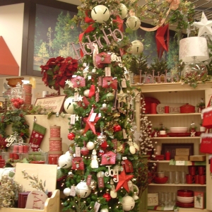 Tree Display