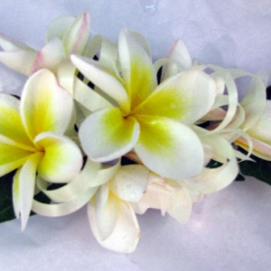 Frangipani Corsage