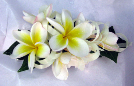 Frangipani Corsage