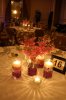 orchid table centerpieces at hilton city ave philadelphia by belvedere flowers 2.jpg