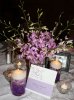 orchid table centerpieces at hilton city ave philadelphia by belvedere flowers.jpg