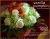 vanilla-pumpkin.jpg