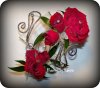 Red Rose Armband.jpg