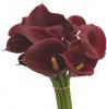 Calla-Mini-Majestic-Red.jpg