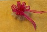 tulle poof with ribbon step 2.jpg