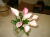 pinkcalla02.JPG