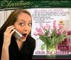 tulips-email-june.jpg