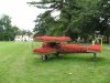 Flower-Airplane.jpg