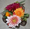 dahlia corsage by belvedere flowers.jpg