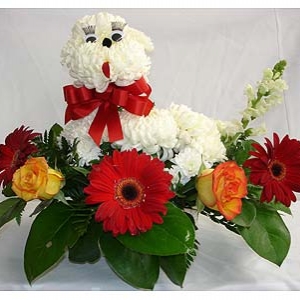 Dog Flowers