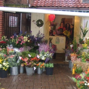 Potting Shed