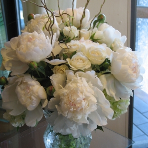 white peonies