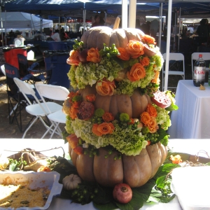 Pumpkins in the Grove