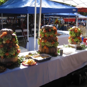 Pumpkins_in_the_Grove