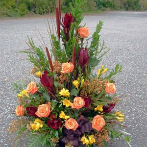 Symp. with orange roses, safari sunset, yellow freesia.