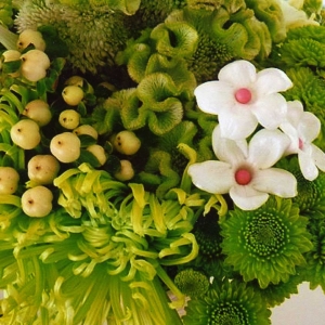 Close-up of Bridal Bouquet - Nickie Emerson/Woods