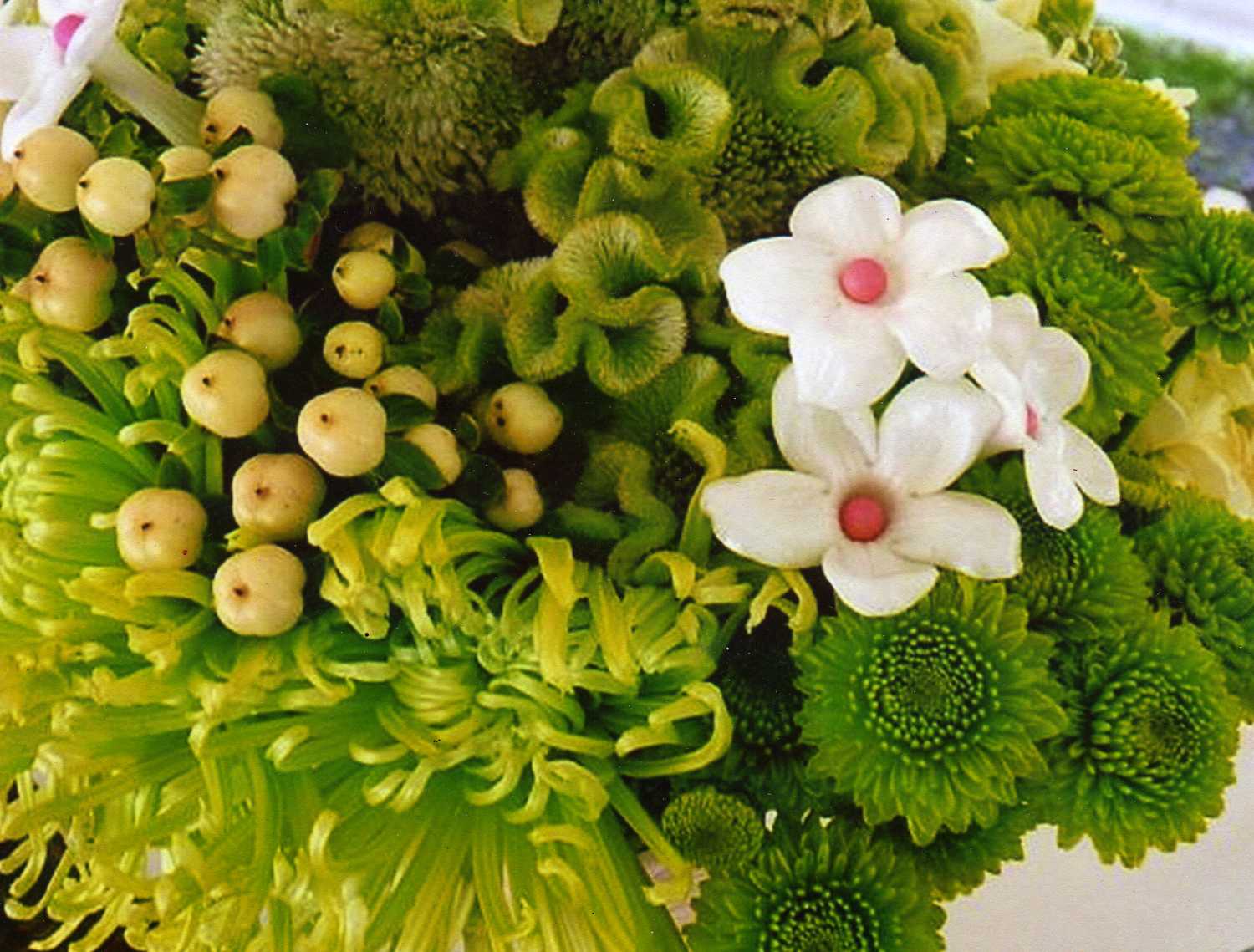 Close-up of Bridal Bouquet - Nickie Emerson/Woods