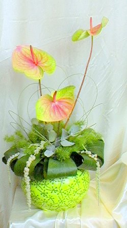 Lime Green Composition with Anthuriums & Amaranthus