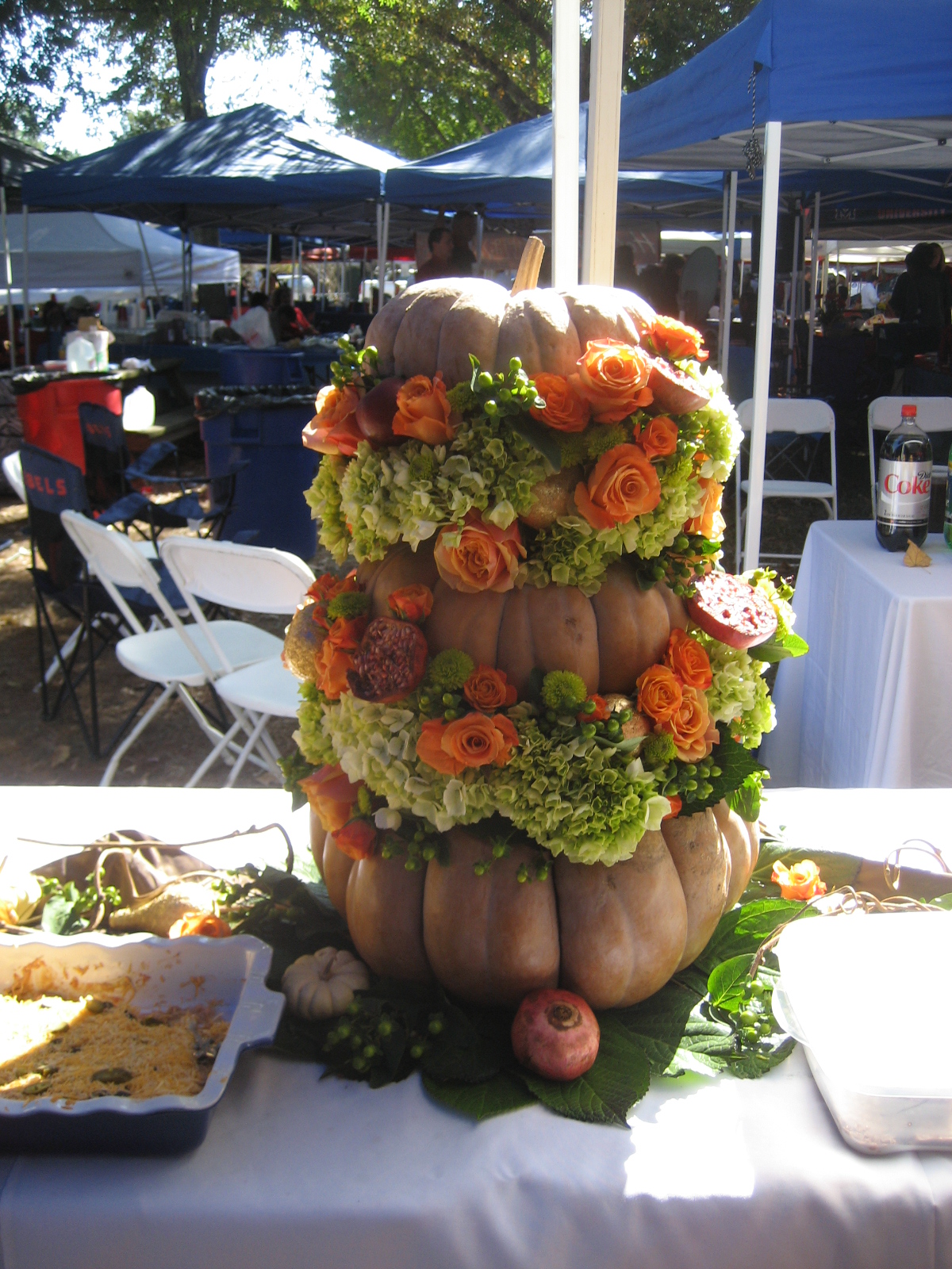 Pumpkins in the Grove