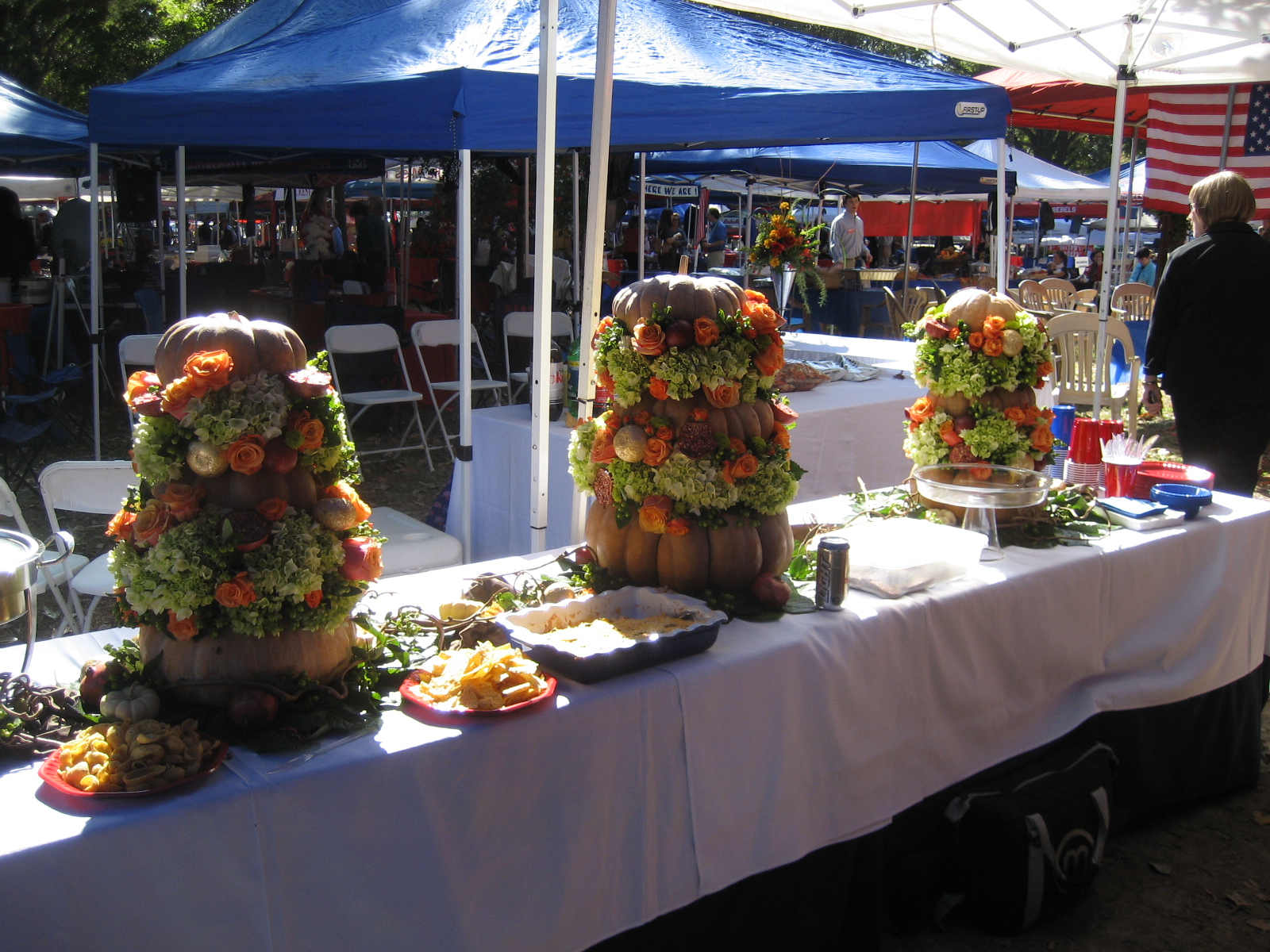 Pumpkins_in_the_Grove