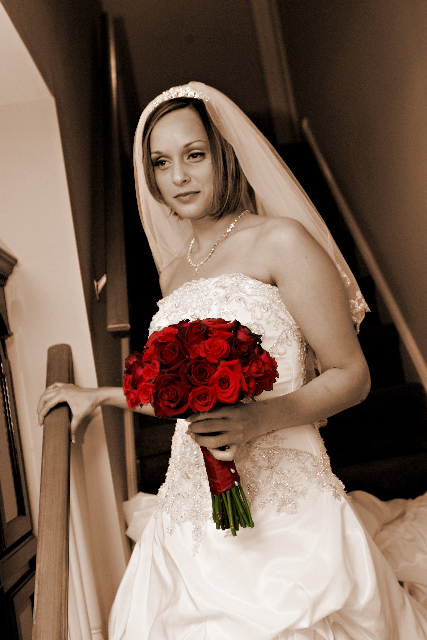 Red Rose Bride 2