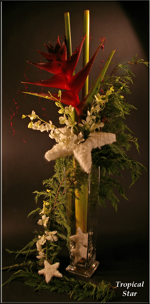 Tropical christmas Arrangement