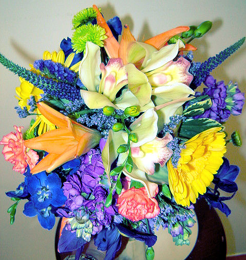 Tropical Colored Wedding