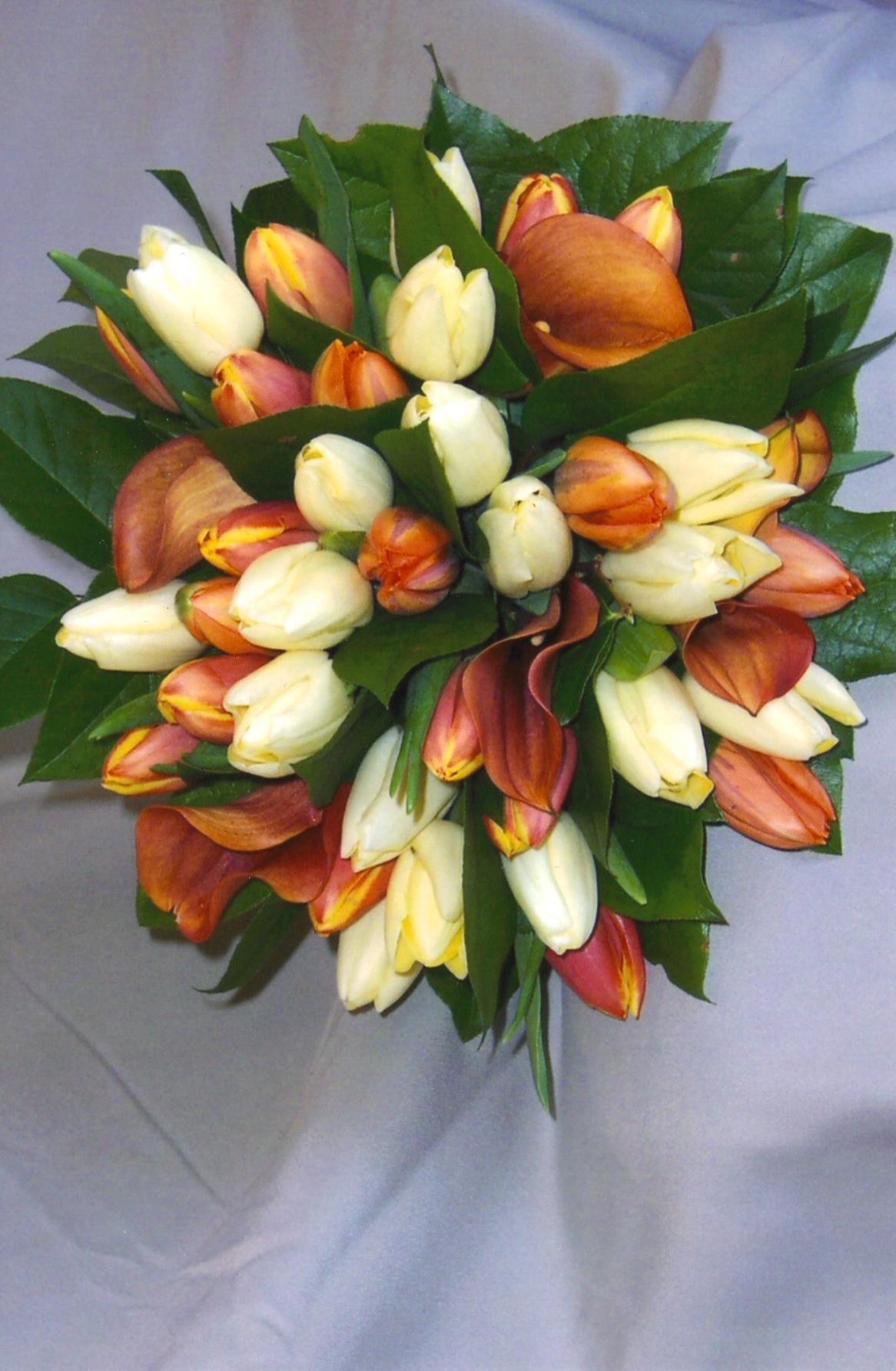 Tulip Bouquet